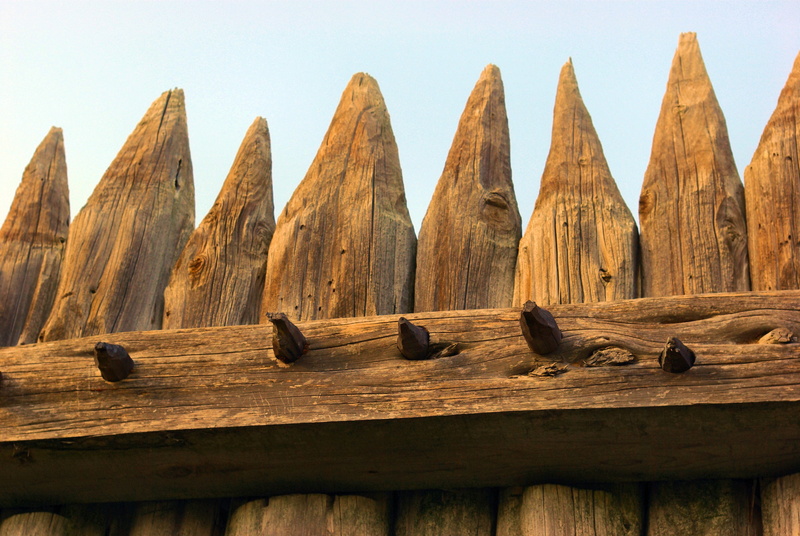 fort parker palisade, animal themes, day, shape, barrier, low angle view, boundary, fortification, stockade, nature, stakewall, clear sky, texas, wood - material