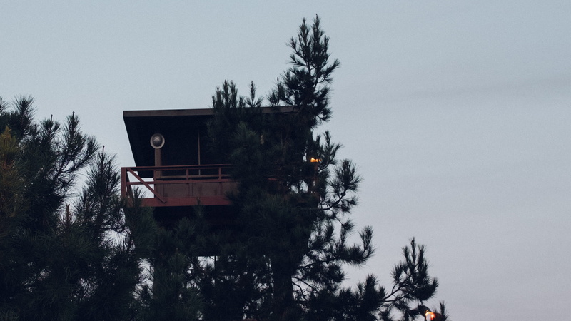 building exterior, hiking, nature, day, tranquility, plant, no people, building, sky, low angle view, residential district, trees, architecture, firewatch