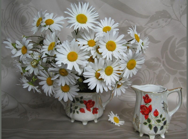 vase, flowering plant, tea cup, flowers, table, indoors, nature, close-up, leaf, green Color, chamomile, yellow, springtime, white, crockery, bouquet, flower Head