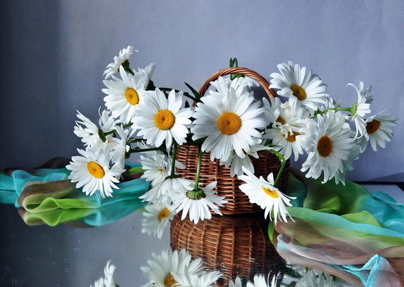 flower arrangement, bouquet, leaf, white color, close-up, inflorescence, nature, daisy, flower Head, yellow, beauty In Nature, flower, decoration, celebration