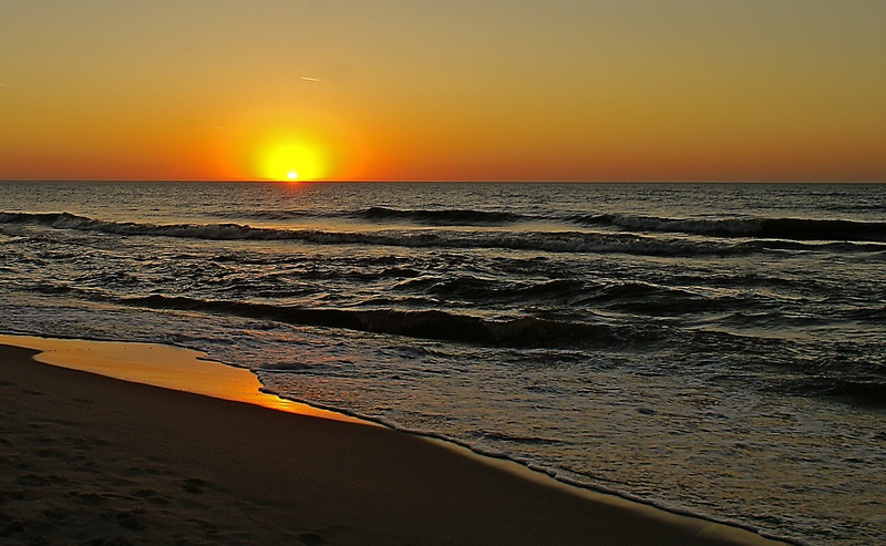 the baltic sea, solar flare, silhouettes, sunlight, surf, silhouettes of trees, on the beach, orange Color, sun, sand, beauty in nature, scenics - nature
