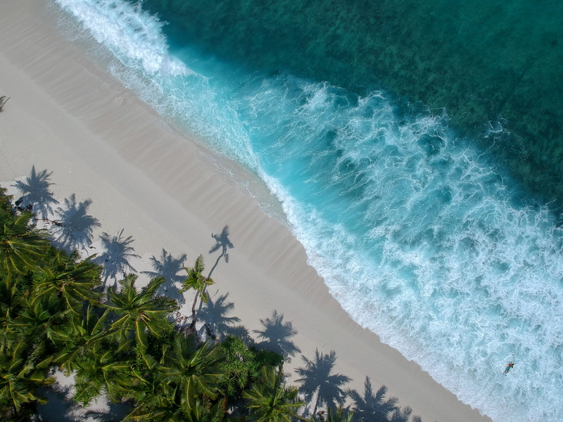 tree, coast, beauty in nature, maldives, nature, panoramic, tropical climate, breaking, scenics - nature, motion, summer, fuvahmulah city, scenery, beach
