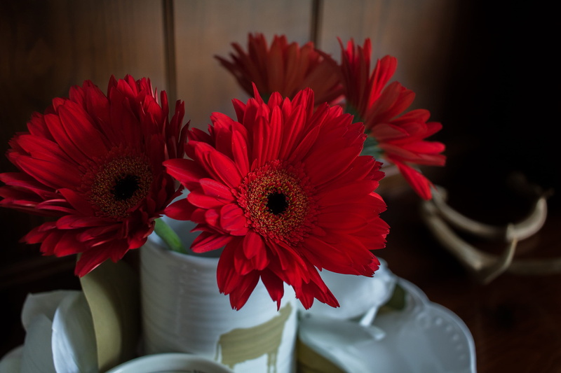 nature, flower vase, petal, beauty in nature, plant, red gerber daisy, red flower, bouquet, pollen, flowering plant, focus on foreground, inflorescence