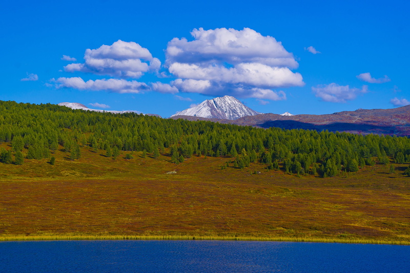 purpose, altai, mountain range, mountains, panorama, peak, pine woodland, valley, mirror, land, remote, landscape, beautiful, ecology, tranquil scene, view