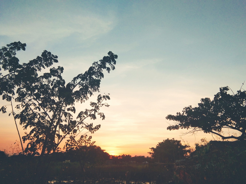 sky, tree, non-urban scene, 4K, no people, low angle view, growth, idyllic, orange color, beauty in nature, nature, wednesday, outdoors, sunlight, sunset
