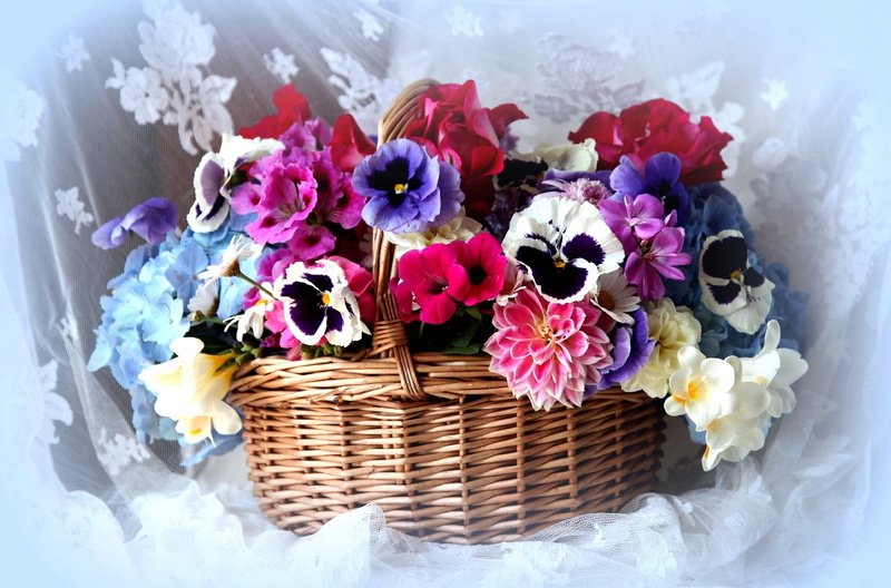 shopping, petal, freshness, beauty In Nature, fabric, design, fragility, basket, wicker, close-up, petunia, petaled, inflorescence, pink Color, pansy, flowering plant