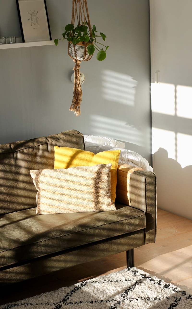 still life, domestic room, plant, chair, cozy, rug, window, flower, sofa, interior design, day, towel, home, no people, home decor, furniture, sunlight