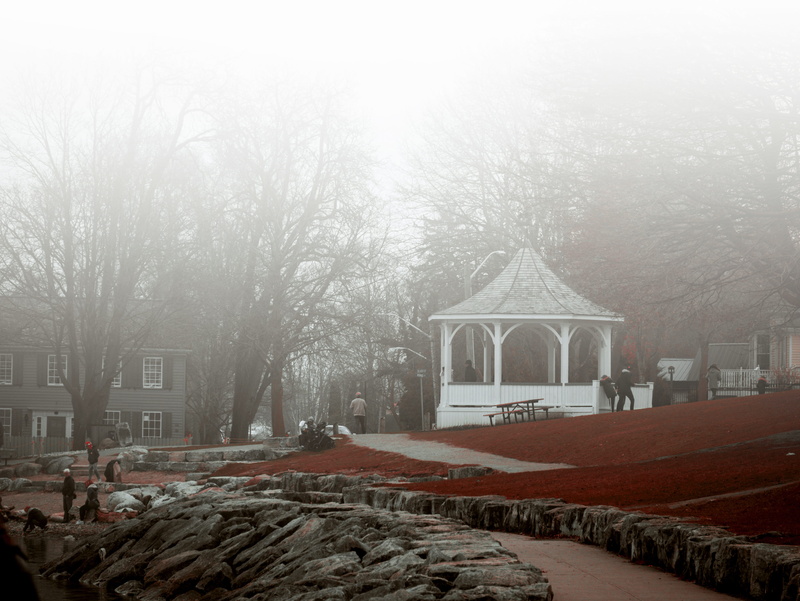 winter, fog, gazebo, bare tree, outdoors, snow, nature, fashion, 4K, tent, lake, snowing, sky, rocks, premiere, no people, red carpet premiere, tree, red carpet