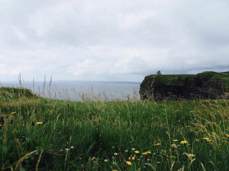 growth, tranquility, horizon over water, irish, non-urban scene, nature, europe, seascape, no people, horizon, plant, 4K, ocean, landscape, day, water