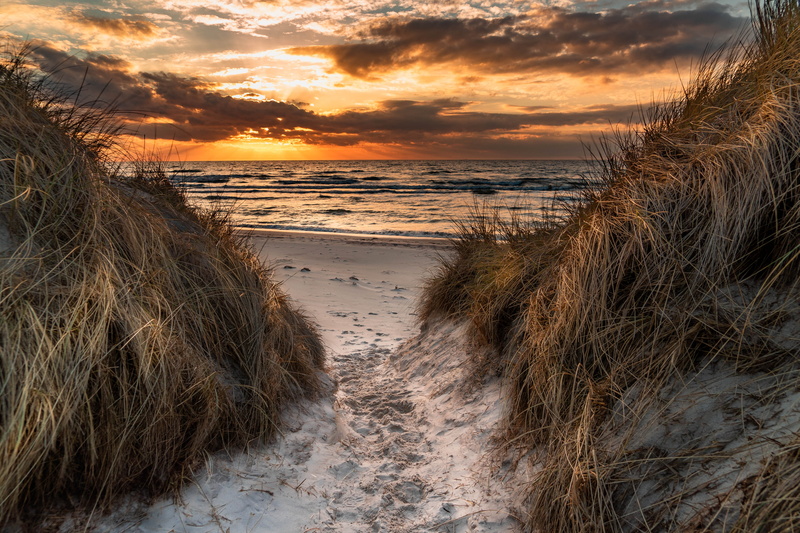 grass, orange color, wild, horizon over water, scenics - nature, landscape, non-urban scene, plant, beach, water, dunes, fischland-darss, romantic, cloud - sky
