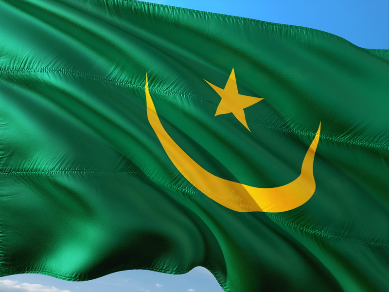international, yellow, green color, environment, wind, plant part, full frame, mauritania, atlantic, nature, waving, north-west-africa, star shape, silk