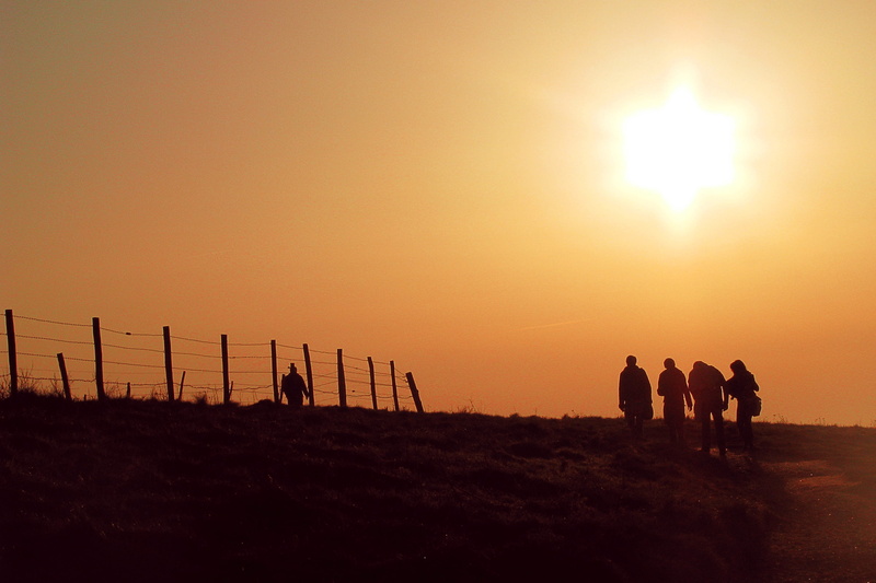 friends, 2K, sunset, medium group of people, people, standing, beauty in nature, outdoors, walking, nature, unrecognizable person, leisure activity, lifestyles