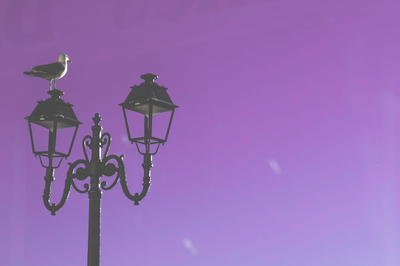 étretat, no people, clear sky, bird, pink color, lighting equipment, street, 2K, copy space, electric lamp, france, purple, street light, outdoors, ornate