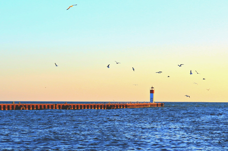 sea, nature, lake erie, pier, bird, animal wildlife, group of animals, vertebrate, dock, seagull, animal, beauty in nature, lighthouse, sky, no people