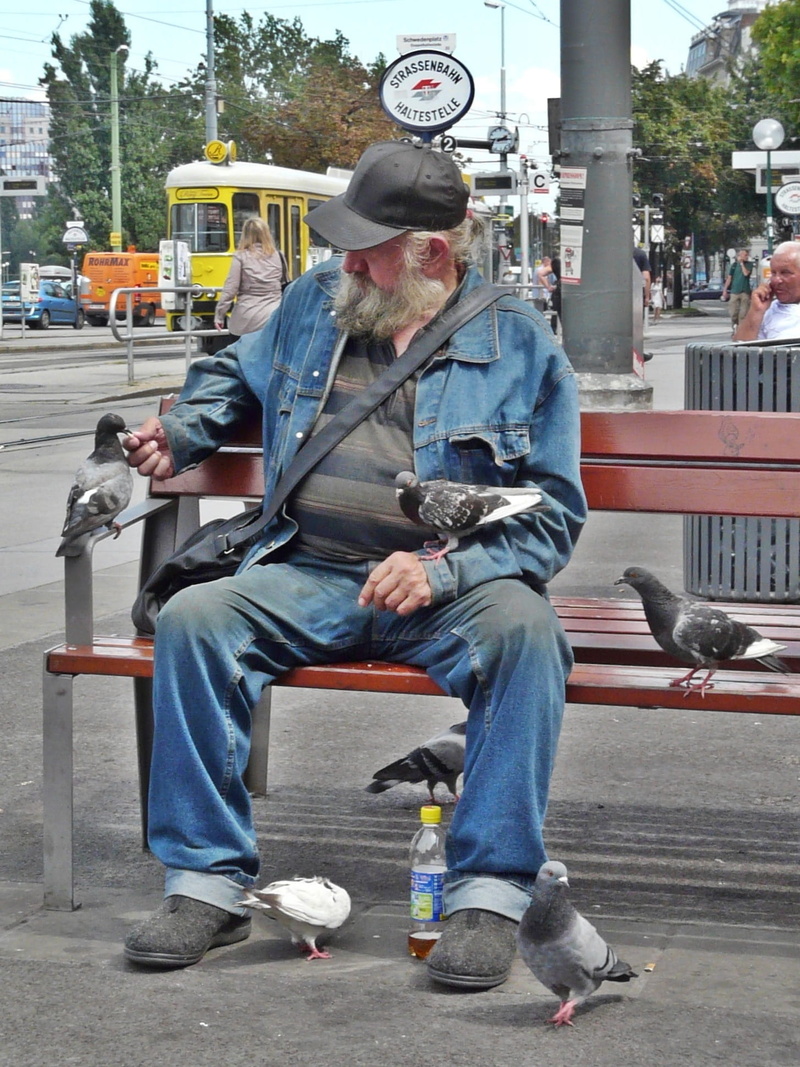 men, city Life, Human, sweden square, brown, Beggars, transportation, Man, urban Scene, 1080P, vienna, casual clothing, pigeons, people, lifestyles, leisure activity