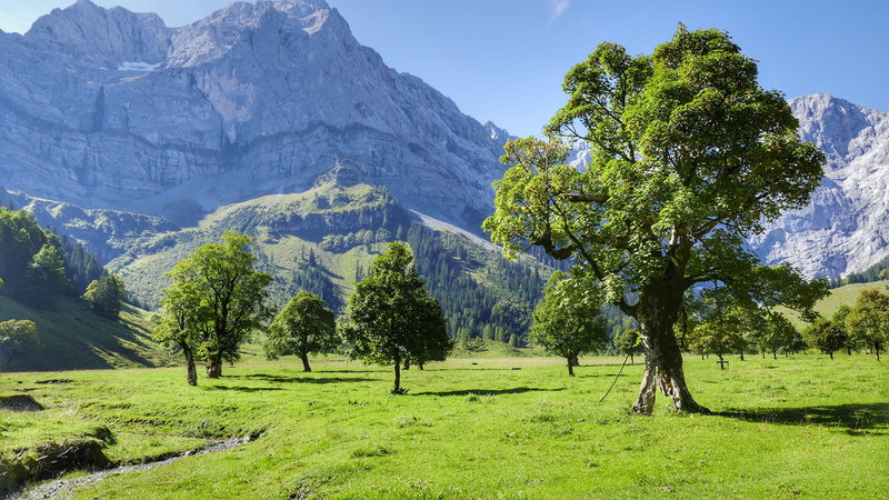 mood, 5K, environment, ahornboden, land, mountains, idyllic, tranquility, plant, growth, engalm, meadow, karwendel, nature, green color, scenic, summer