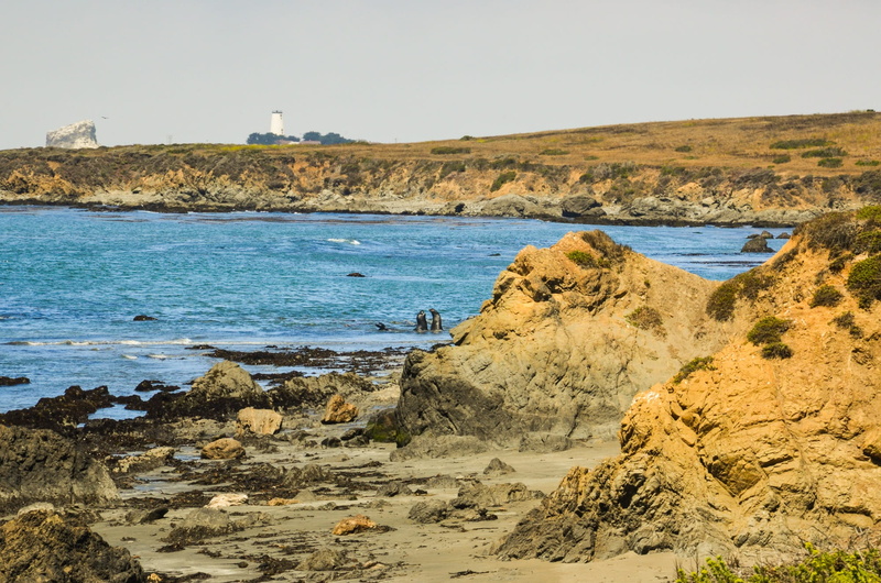 nature, day, california, pacific, reserve, outdoors, rock, tranquility, rock - object, sand, bay, pacific coast, water, point lobos, big sur, solid, sun