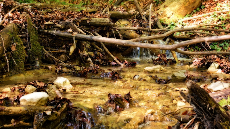 stream - flowing water, autumn, wild, of course, creek, moss, wood, tree, river, tranquility, aesthetic, forest, rock, riverbed, leaves, land, day, flowing water