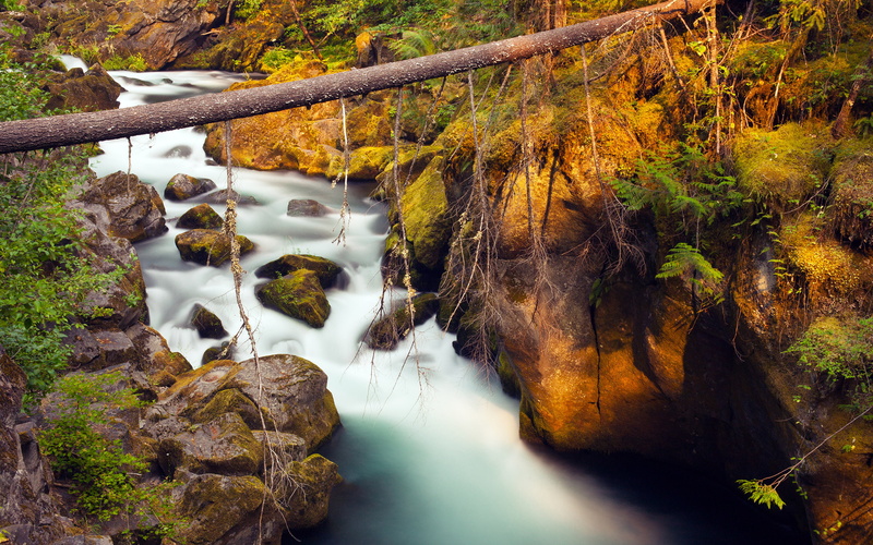 2K, pine, flowing water, mountain, moss, riverbed, no people, rock - object, tranquil scene, tranquility, motion, solid, boulders, outdoors, flowing, river