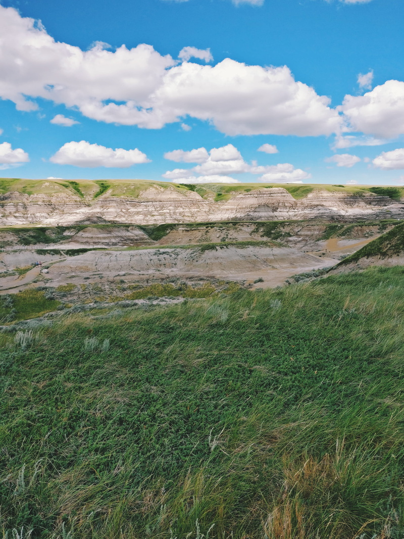 scenics - nature, plant, mesa, outdoors, grass, wilderness, canada, tranquil scene, beauty in nature, plateau, green color, landscape, tranquility, field