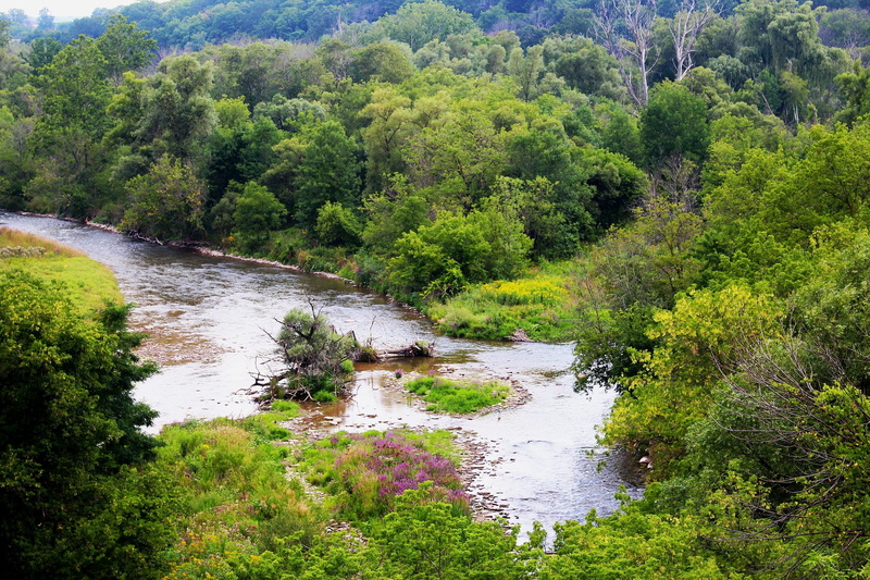 landscape, outdoors, lush foliage, day, 2K, foliage, water, flowing water, tranquil scene, land, river, plant, park, non-urban scene, no people, vegetation
