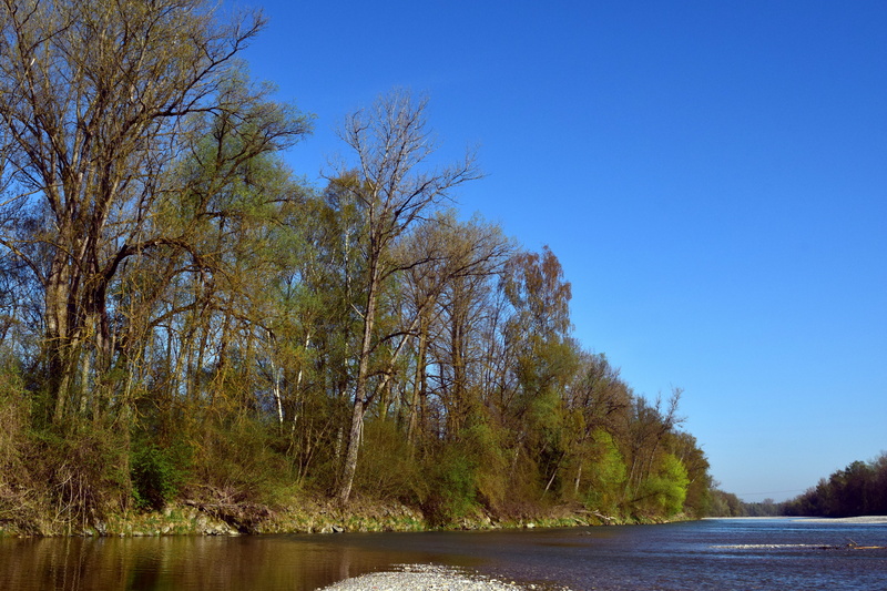 tree, plant, no people, scenics - nature, blue, non-urban scene, waters, river, land, day, clear sky, beauty in nature, nature, flow, tranquility, spring