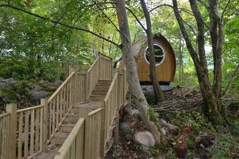 tree, growth, Scottish, armadilla, riverbeds, built structure, wood - material, no people, outdoors, tranquility, architecture, 1080P, nature, footbridge