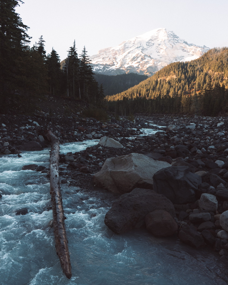 photo, riverbed, cold temperature, winter, alberta, mountains, lake, mountain Range, canada, solid, log, forest, stream - flowing water, plant, daytime