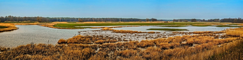 landscape, slurry, outdoors, marsh, river landscape, panoramic, wetland, abendstimmung, reed, day, agriculture, riverbed, no people, plant, nature, 8K