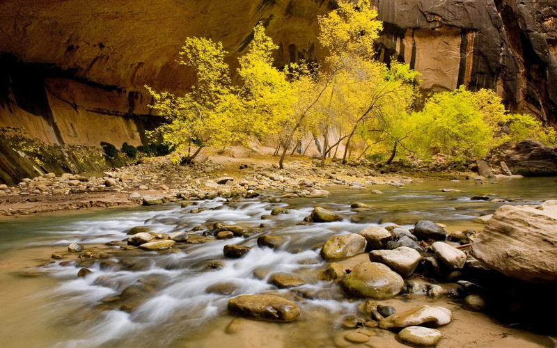 riverbed, rocks, hd, green, leaves, stones, desktop, nature, 2K, willow, river