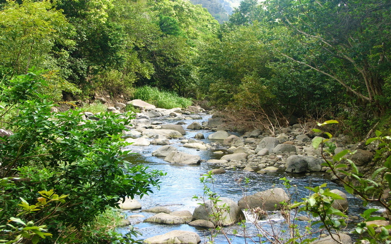 island, stream, maui, riverbed, rocks, hd, 2K, vegetation, desktop, mountain, green, hawaii