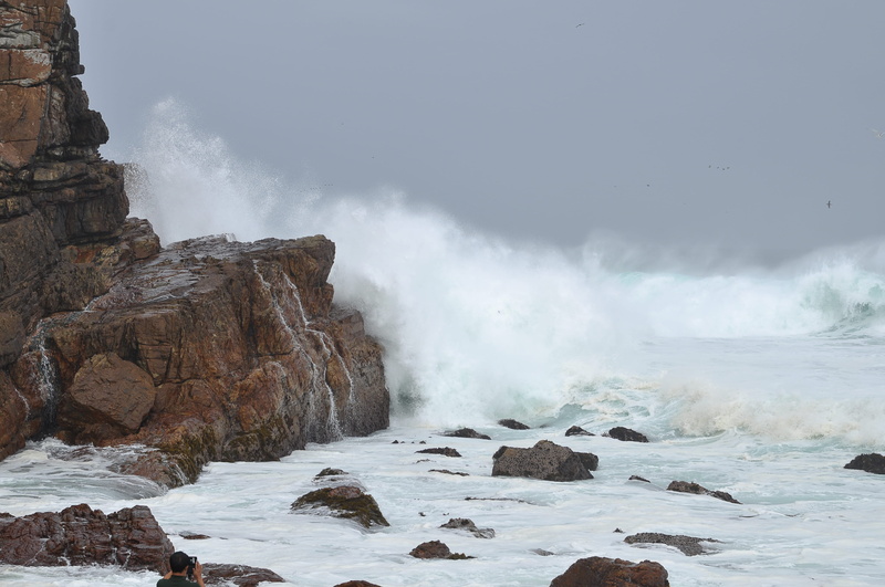 power in nature, motion, outdoors, sea waves, south africa, sea, cape of good hope, hitting, wave, rock formation, beside, 4K, solid, cliff, cove, person
