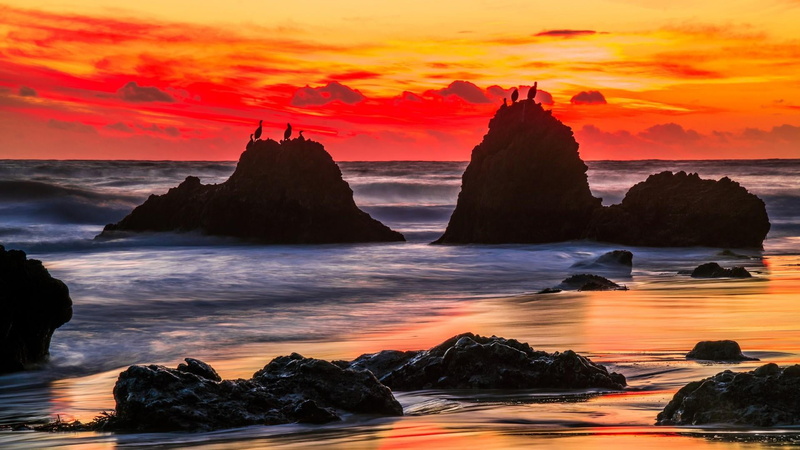 long exposure, idyllic, birds, nature photography, 1080P, sea, water, shore, nature, horizon over water, coast, photography, orange color, stack rock