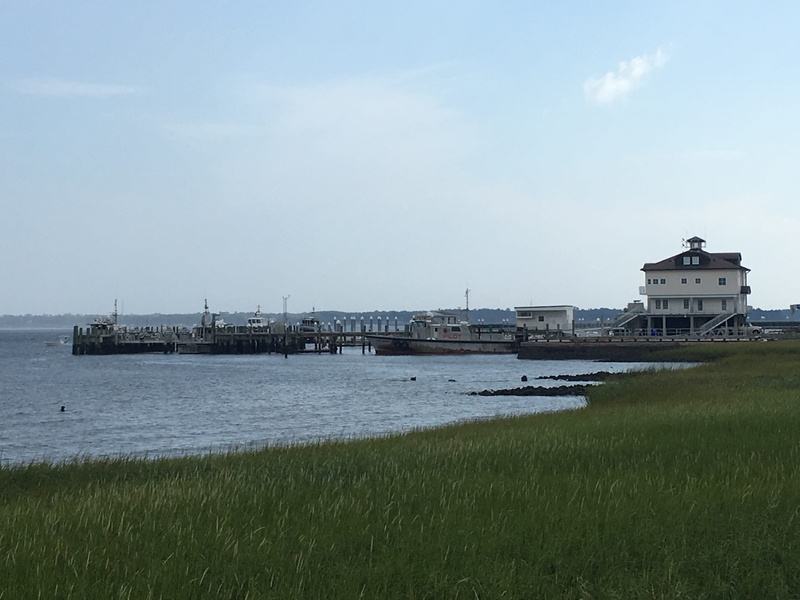 nature, tranquility, built structure, plant, building exterior, sky, building, no people, boat, cloud - sky, charleston, day, waterfront, tranquil scene