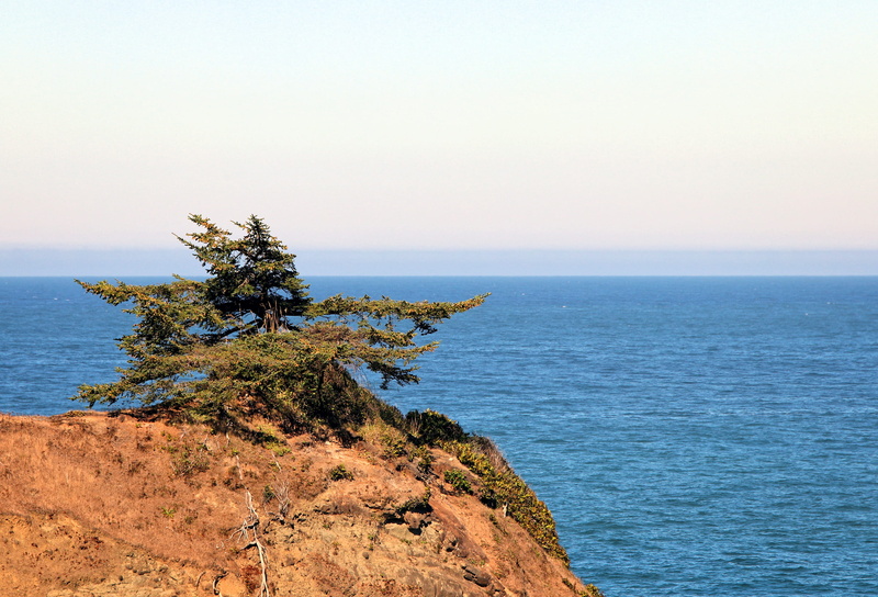 sky, solid, beach, water, horizon, landscape, tranquil scene, scenics - nature, rock - object, tranquility, united states, day, rock, sea, horizon over water