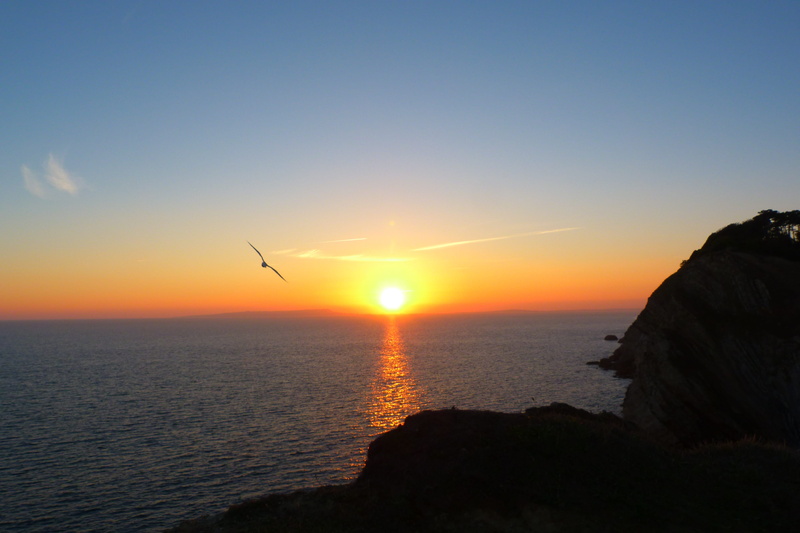 tranquility, seagull, scenics - nature, nature, tranquil scene, lens flare, 4K, sun, sky, water, england, coastal, sea, dorset, mid-air, flying, travel