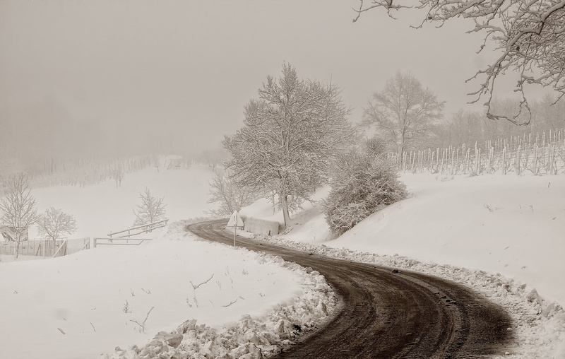 2K, mist, road, winter, snow, white, dirt road