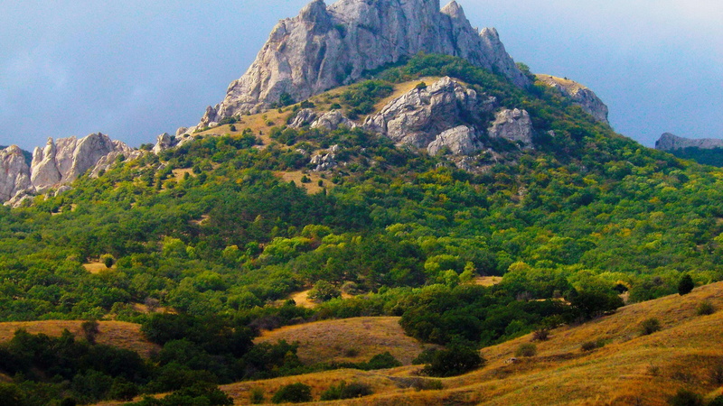 mountain, 4K, 3840x2160, tree, cliff, amazing, green, nature, grass