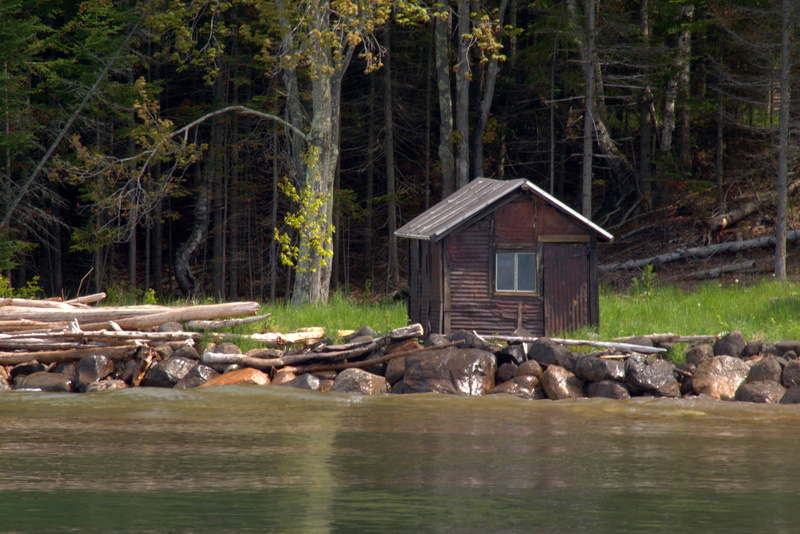 4K, apostle islands national lakeshore, building exterior, green, summer, animal, tree, forest, solid, group of animals, animal themes, rustic, no people