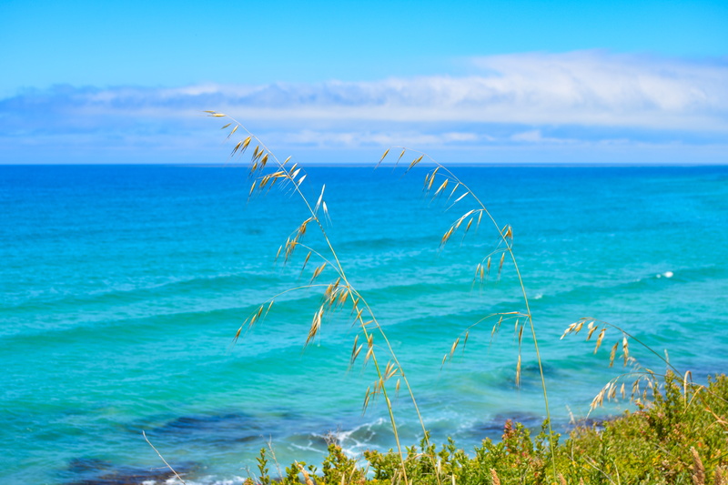 beach, seascape, paradise, horizon, tranquility, sky, victoria, aqua, nature, idyllic, plant, sea, grass, horizon over water, no people, holiday, outdoors