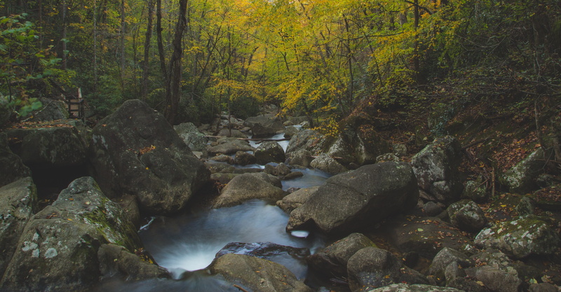 long exposure, hiking, mountains, nc, forest, leaves, stream - flowing water, solid, gods creation, god, creek, land, north carolina, mountain, beauty in nature