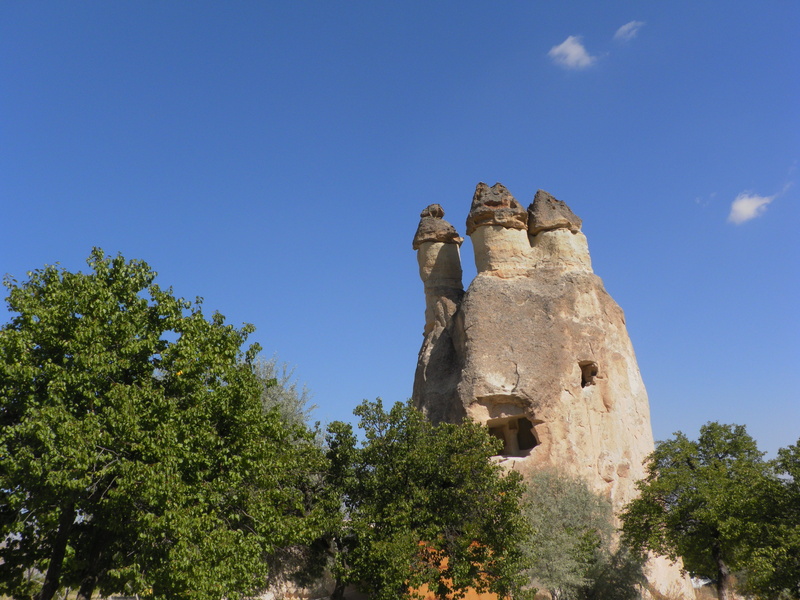 day, outdoors, fairy chimneys, clear sky, history, sunlight, building exterior, mushrooms, low angle view, sky, blue, turkey, growth, nature, travel, ancient