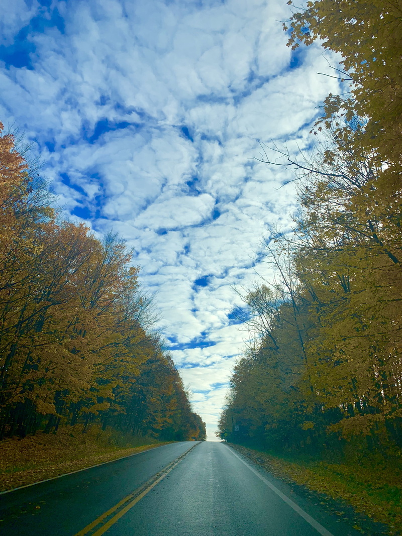 vanishing point, diminishing perspective, tree, country road, road marking, day, faith, treelined, spirituality, pray, cloud - sky, beauty in nature, symbol