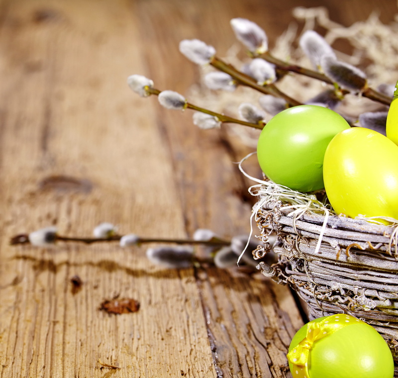 yellow, 5K, green, easter egg, eggs, focus on foreground, green color, healthy eating, Easter, egg, no people, food and drink, branches, close-up, painted eggs