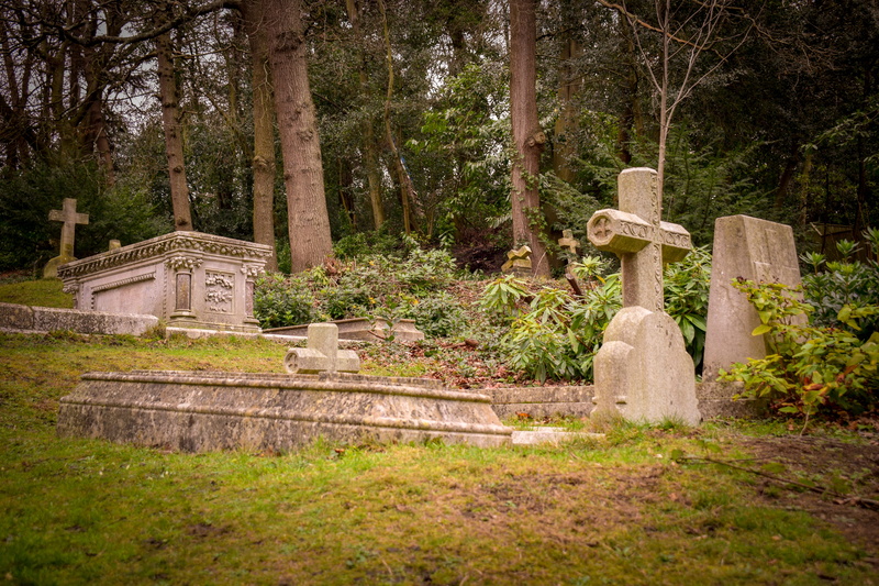 solid, cross, grave, sadness, graves, day, architecture, no people, religion, 5K, plant, old, graveyard, stone material, tombstone, belief, stone, tree
