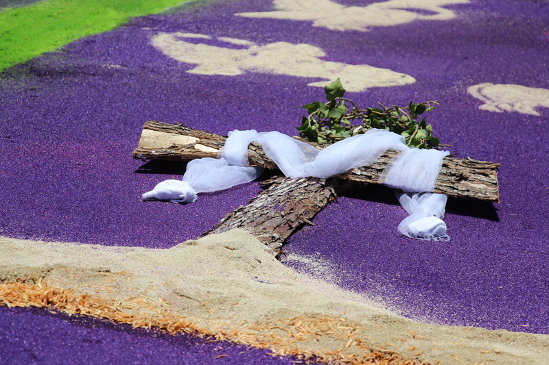 bird, carpet, no people, day, white color, vertebrate, faith, guatemala, animal, peace, wood, belief, animal themes, christ, tradition, cruz, nature, purple
