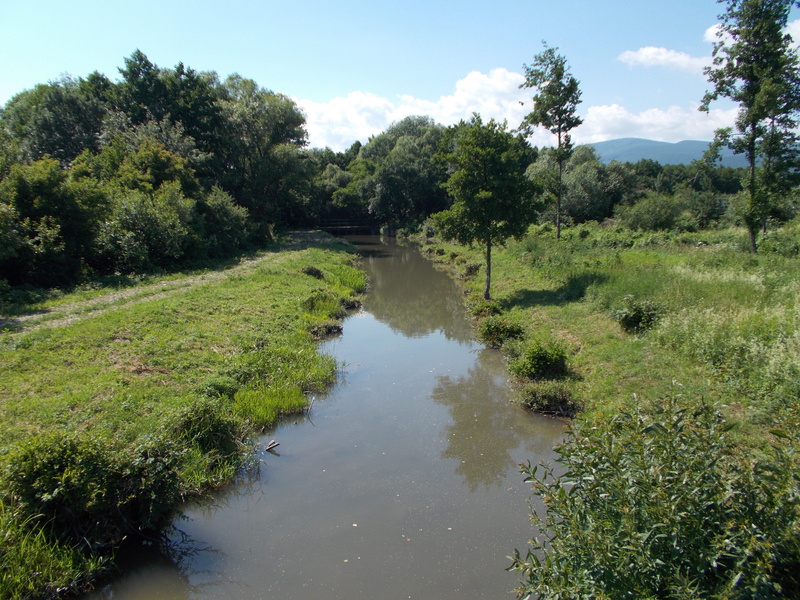 sun, the creek, sky, the sky, shrubs, tranquility, autumn, beauty in nature, Water, summer, Country, no people, swamp, to relax, spring, nature, clear