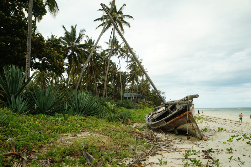 broken, shipwreck, no people, tourism, sand, plant, deterioration, nautical, mode of transportation, vessel, 5K, wooden, sea, marine, abandoned, natural