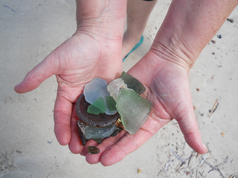 one person, trash, hands, holding, finger, 4K, rubbish, s, land, environment, sea, broken, close-up, human limb, human body part, leaf, sand, day, outdoors