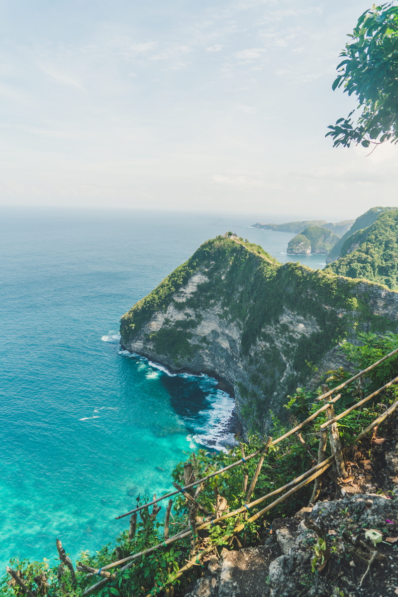 8K, bush, flora, nature, plant, ocean, water, penida island, no people, indonesia, idyllic, bay, jungle, turquoise colored, horizon, tranquility, beach